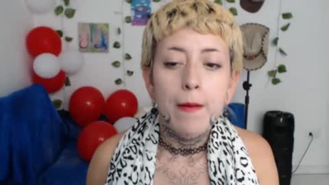 Ask me online show from 11, 5, 2026