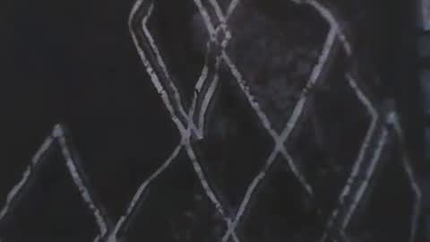 selim selim online show from 1, 11, 2025