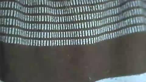 selim selim online show from 14, 11, 2025