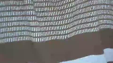 selim selim online show from 29, 11, 2025