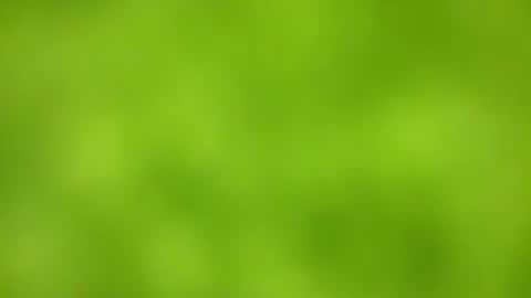 sens3439 online show from 24, 11, 2025