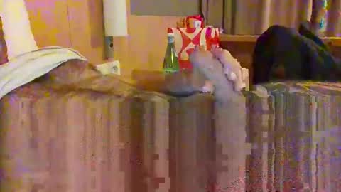 serialfucka69 online show from 27, 10, 2025