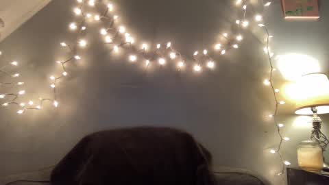 Seroc online show from 9, 3, 2025