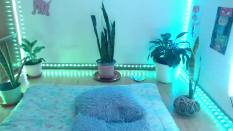 samy online show from 13, 5, 2026