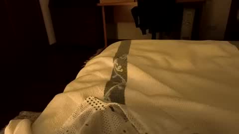 Snapshot of sevenorder chatting on 20, 1, 2025 sevenorder online show from 20, 1, 2025