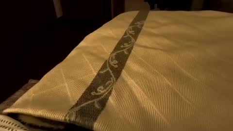 Snapshot of sevenorder chatting on 21, 1, 2025 sevenorder online show from 21, 1, 2025