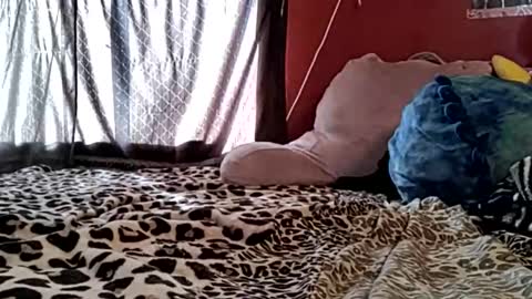 Snapshot of sexiwhiskey699 chatting on 21, 2, 2026 sexiwhiskey699 online show from 21, 2, 2026