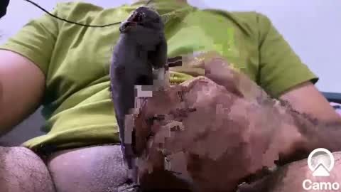 sexmachine4ubabes online show from 9, 12, 2024