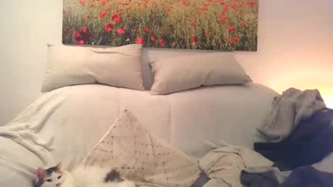 Sexurbation online show from 10, 12, 2024