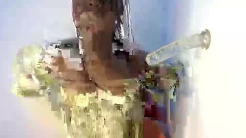 lily online show from 5, 10, 2025