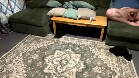 sexycouple762734 online show from 26, 4, 2026
