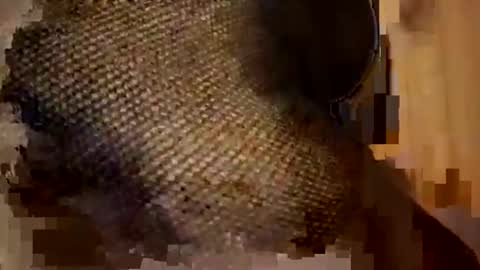 Forever Erotica online show from 9, 11, 2025