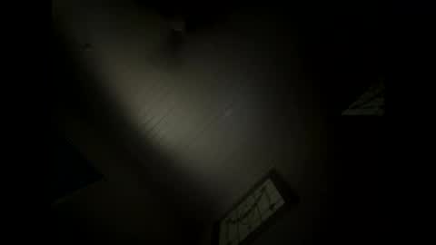 shaggydog774112 online show from 10, 12, 2024