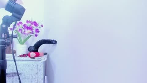 shalomexotic online show from 1, 8, 2026