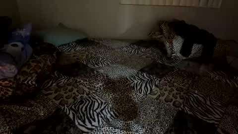 Shaman Woman online show from 6, 12, 2024