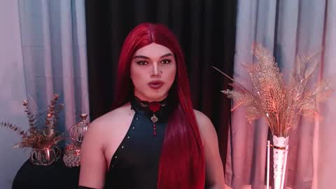 Shane X online show from 20, 12, 2025