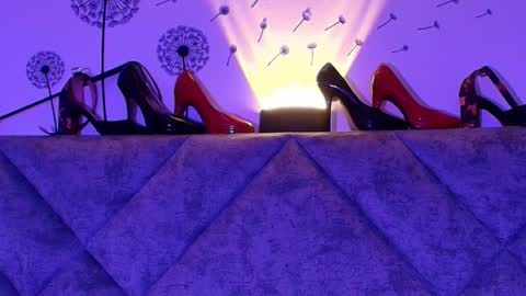 shantey online show from 12, 1, 2026