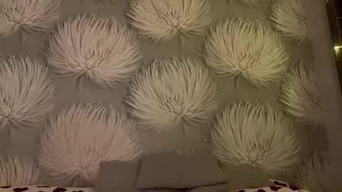 Snapshot of shaquitaalcosiba chatting on 11, 1, 2026 Alica online show from 11, 1, 2026