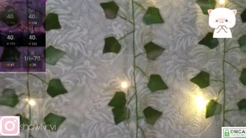 shawty_vi online show from 3, 2, 2025