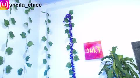 SHEILA  online show from 9, 12, 2024