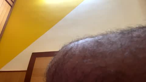 bluehorn online show from 7, 12, 2024