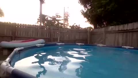 Red online show from 19, 9, 2025