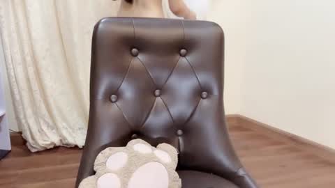 Snapshot of shellysan chatting on 21, 7, 2026 Shelly online show from 21, 7, 2026