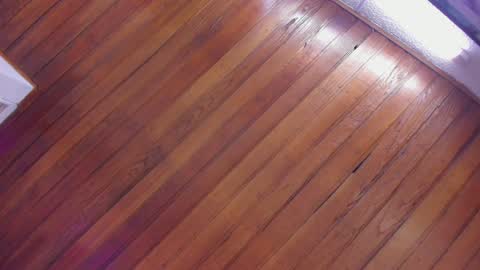 mia online show from 13, 1, 2025