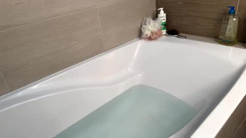 shhdana online show from 23, 3, 2026