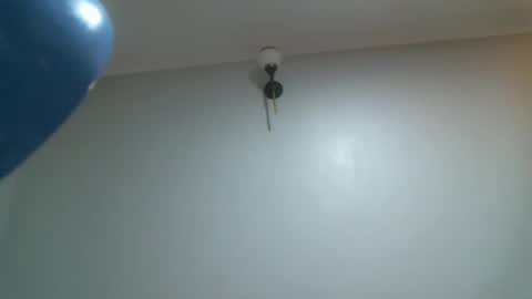 Snapshot of shiro254 chatting on 24, 11, 2025 Shi-ro online show from 24, 11, 2025