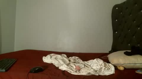 Snapshot of shiro254 chatting on 7, 2, 2026 Shi-ro online show from 7, 2, 2026