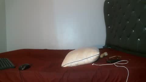 Snapshot of shiro254 chatting on 17, 2, 2026 Shi-ro online show from 17, 2, 2026