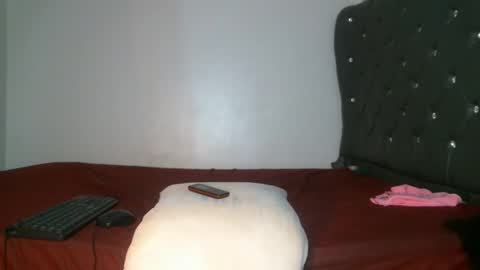 Snapshot of shiro254 chatting on 27, 2, 2026 Shi-ro online show from 27, 2, 2026