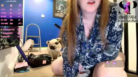 short sweetpea online show from 15, 1, 2026