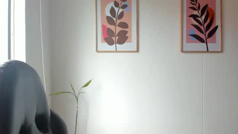 shylittlebunny online show from 9, 6, 2026