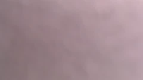 silk_ann online show from 7, 7, 2026