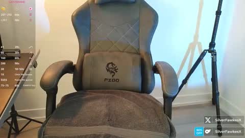 Snapshot of silverfawkesx chatting on 22, 3, 2026 silverfawkesx online show from 22, 3, 2026