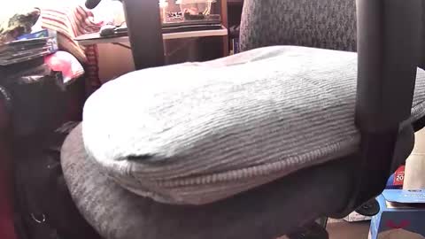 Snapshot of silversenior chatting on 17, 4, 2026 Silver online show from 17, 4, 2026