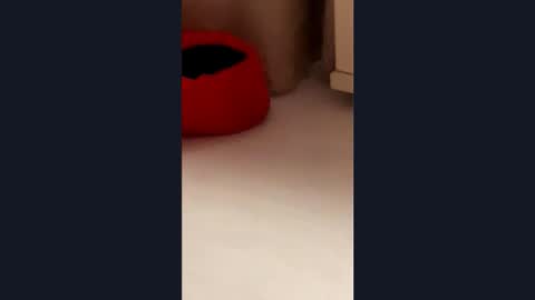 silvia998 online show from 21, 3, 2026