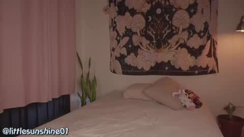 Little Sunshine online show from 9, 12, 2024