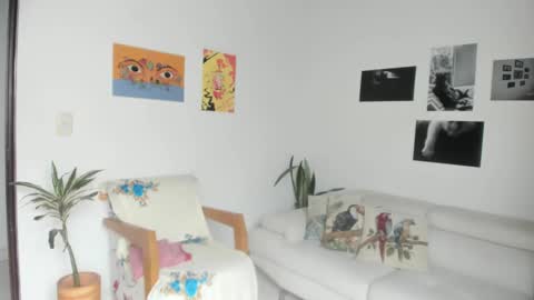 Sim. online show from 16, 12, 2024