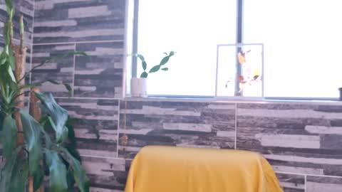 Sim. online show from 8, 3, 2025