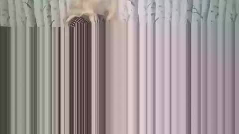 simontupin1973 online show from 17, 12, 2025