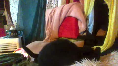 Siofra online show from 8, 8, 2026