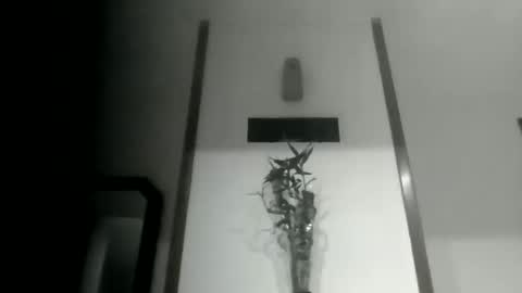 Snapshot of sioque376201 chatting on 10, 3, 2026 sioque376201 online show from 10, 3, 2026