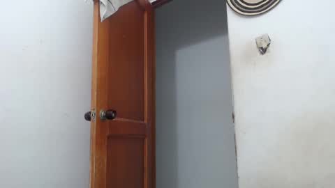 Snapshot of sirajones chatting on 2, 3, 2025 sirajones online show from 2, 3, 2025