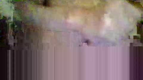 Snapshot of sisinyedz0000 chatting on 4, 2, 2026 sisinyedz0000 online show from 4, 2, 2026