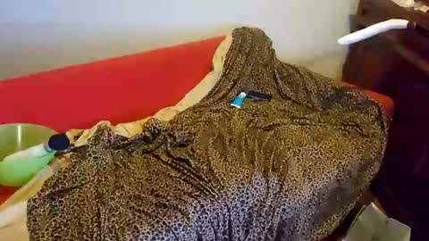 sissyanalslut521247 online show from 18, 1, 2025
