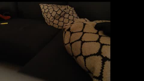 sissygirlalexandra online show from 26, 1, 2025