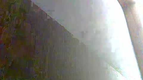 skinnykittencam online show from 8, 11, 2025